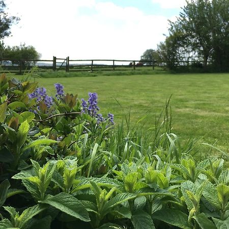 Bed and Breakfast Cotswolds Mine Hill House Lower Brailes Exteriér fotografie