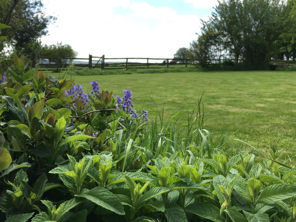 Bed and Breakfast Cotswolds Mine Hill House Lower Brailes Exteriér fotografie